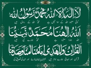 Tazbi_for_website_Green470X350